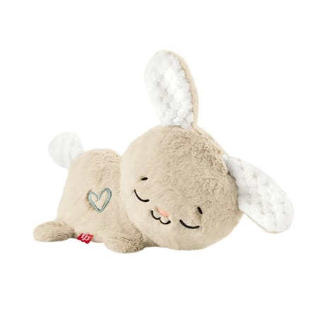 Mon lapin super dodo