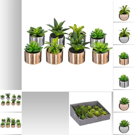 Assortiments plante h13