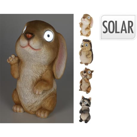 Animal solaire assortiment