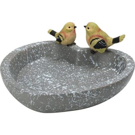 Bain d'oiseau