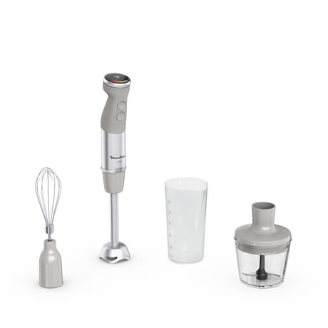 Moulinex pied mixeur Quickchef+ 3 en 1 gris DD673B10
