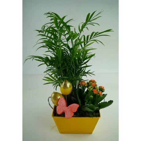 Composition 2 plantes de Pâques