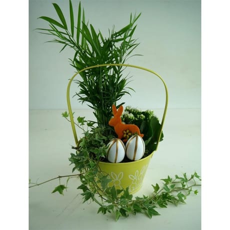 Composition 3 plantes de Pâques