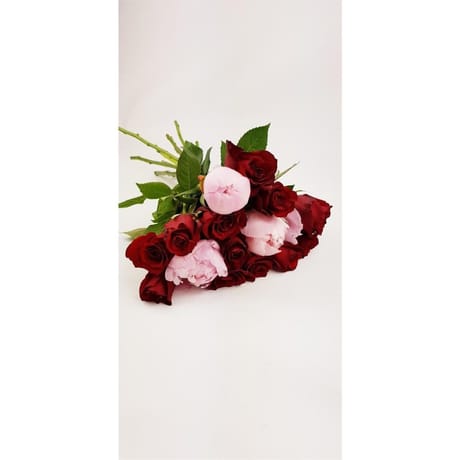 12 Roses 50 cm bouton 3.8 cm + 3 pivoines fete