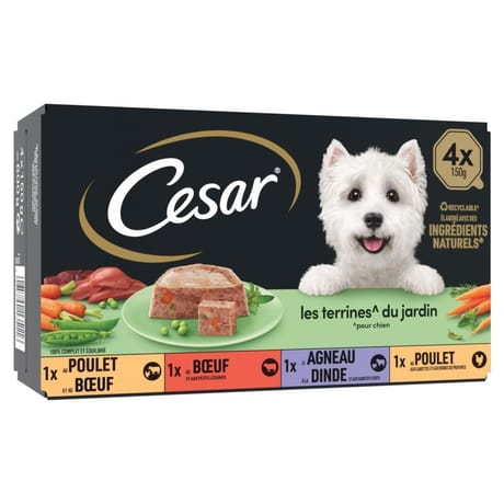 Cesar pâtée pour chien 4 variétés en terrine 4x150g