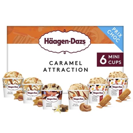 Haagen-dazs 8 mini pots caramel attraction 570ml 483g