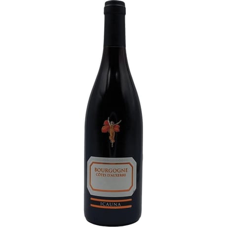 Côte d'Auxerre Icauna 12.5% Vol. 75 cl