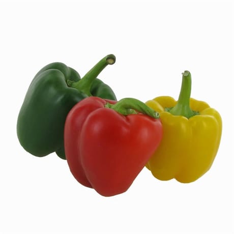 Poivron tricolore 500g