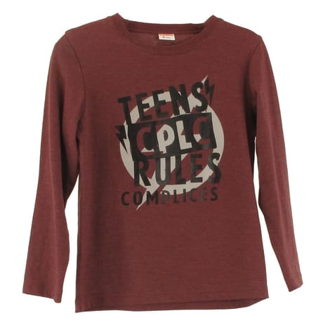Tee shirt manches longues garçon PRUNE 14 ANS