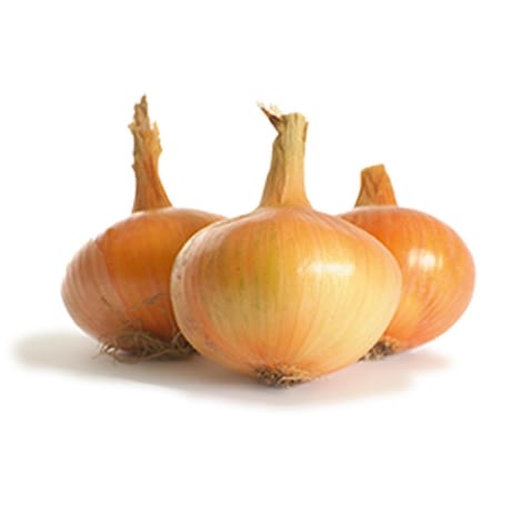 Oignon sturon 14/21 500 gr