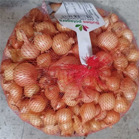 Oignon stuttgarter 14/21 500 gr