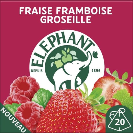 Elephant infusion fraise framboise groseille touche de menthe x20 - 40g