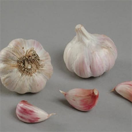 Ail eden rose 500gr