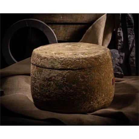 Salers aop au lait cru et entier de vache