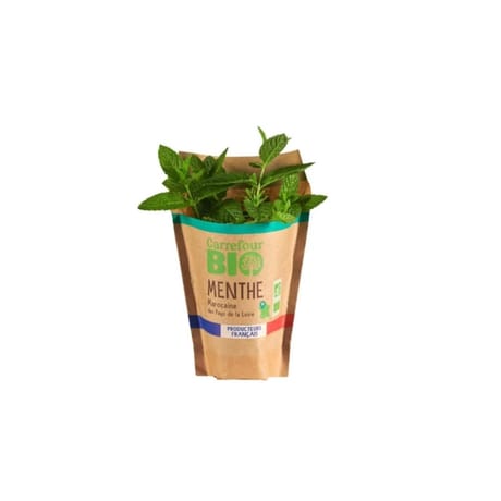 MENTHE BIO EN POT CARREFOUR BIO