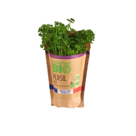 PERSIL FRISE BIO EN POT CARREFOUR BIO