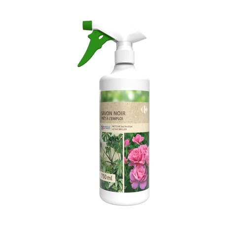 Savon noir en pulvé PAE Carrefour 750ml