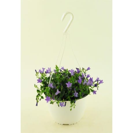 Campanule suspension de 19cm