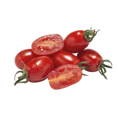 Tomate dattored bio pot 3L