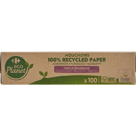 Carrefour ecoplanet boîte de 100 mouchoirs