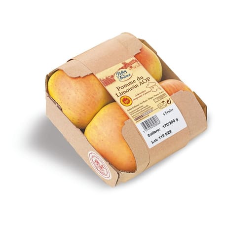 Pomme golden reflets de France barquette 4 fruits