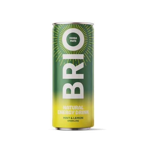 Brio mate menthe citron 25cl bio