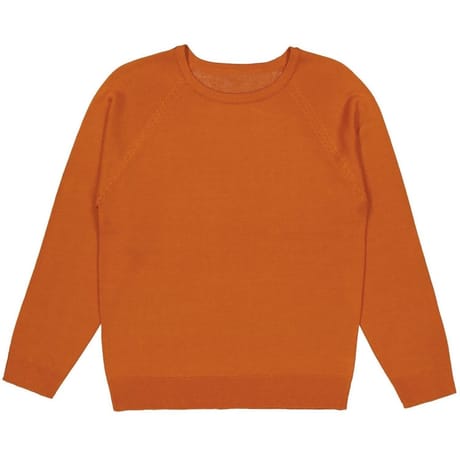 Pull manches longues femme AMBRE T38\40