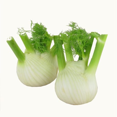 Fenouil le kilo