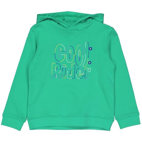 Sweat shirt capuche garçon VERT 8 ANS