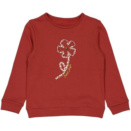 Sweat shirt fille TERRE 6 ANS