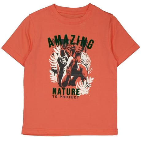 Tee shirt manches courtes garçon SAFRAN 12 ANS