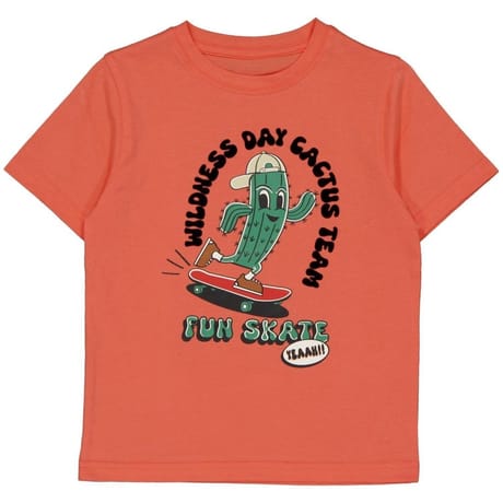 Tee shirt manches courtes garçon SAFRAN 10 ANS