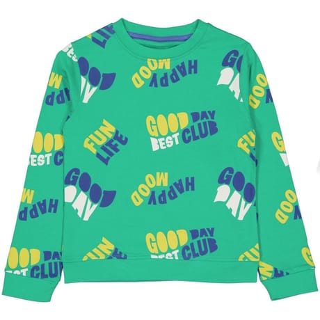Sweat shirt garçon VERT 12 ANS