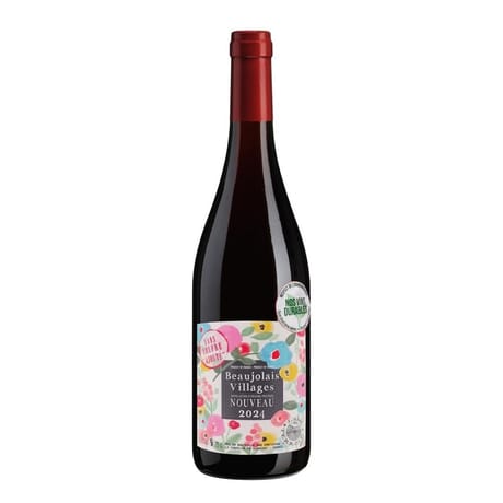 L'Ame du Terroir beaujolais Villages nouveau sans soufre ajouté rouge 2023 75cl