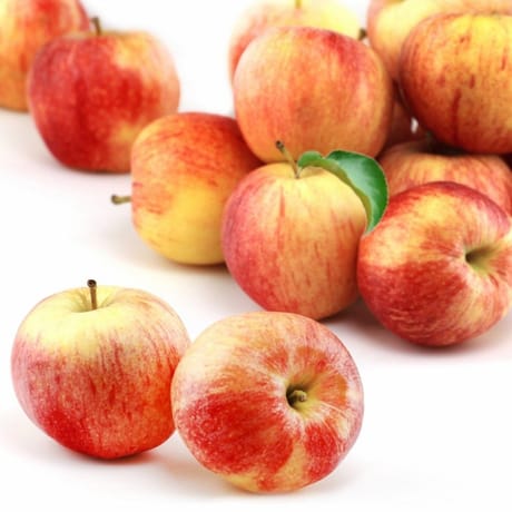 Pomme royal gala fqc agro sachet 1.5 kg