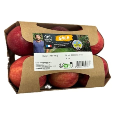 Pomme royal gala barquette 6 fruits filière qualité carrefour