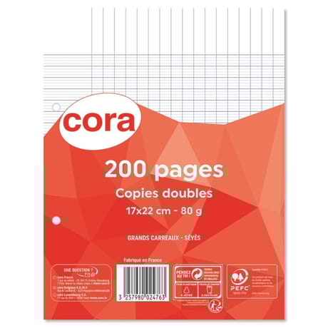 Cora copies doubles perforées 17x22 cm 200 pages seyes grands carreaux