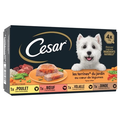 Cesar pâtée pour chien aux légumes en terrine 4x150g