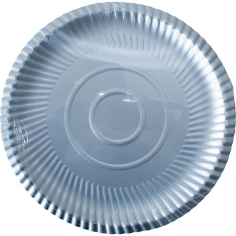 Assiettes carton argent 28 cm x10