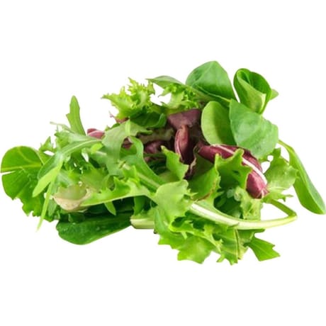 SALADE JEUNE POUSSE BIO BARQUETTE 100G CARREFOUR BIO