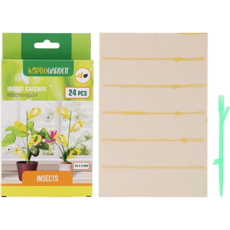 Progarden attrape insectes x24