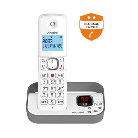 Alcatel téléphone sans fil F860 VOICE SOLO GRIS