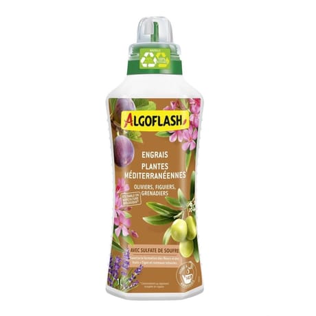 Algoflash plantes méditerrannéennes à fruits UAB 1 L