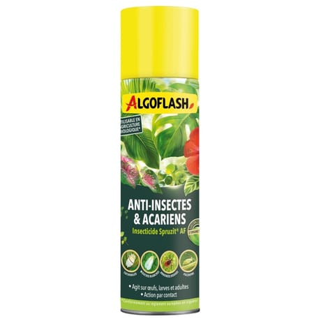 Algoflash insecticide plantes d'intérieur 200 ml