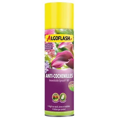 Algoflash ANTI COCHENILLES 200 ML