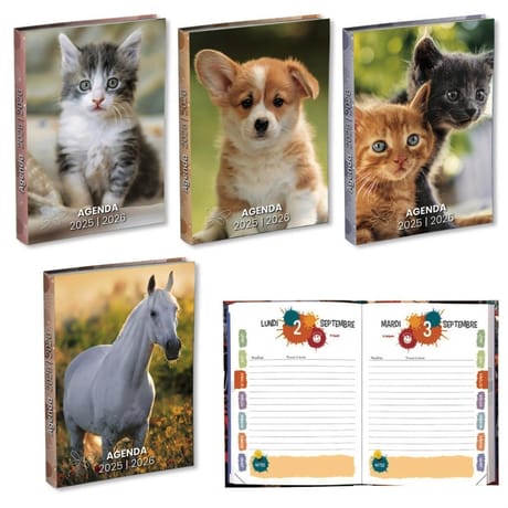 Agenda scolaire 120x170 384p animaux domestiques