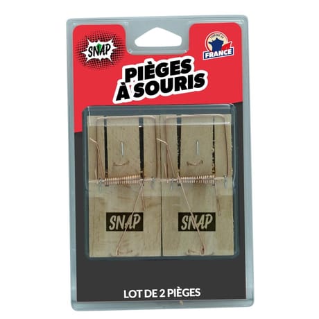Carte 2 pieges souris