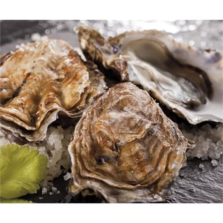 Huitres marennes oleron fdc n4 2DZ 1.5 kg