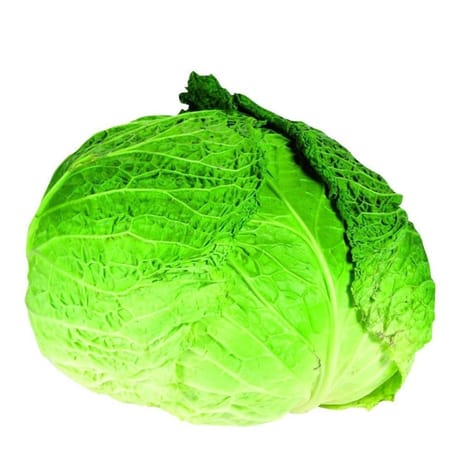 Chou vert pièce