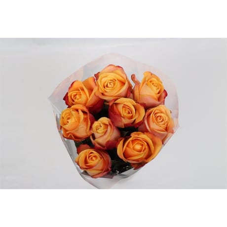 Bouquet de 9 roses